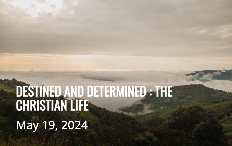 DESTINED AND DETERMINED : THE CHRISTIAN LIFE